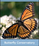 Butterfly Conservatory