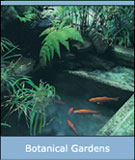 Botanical Gardens