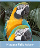 Niagara Falls Aviary